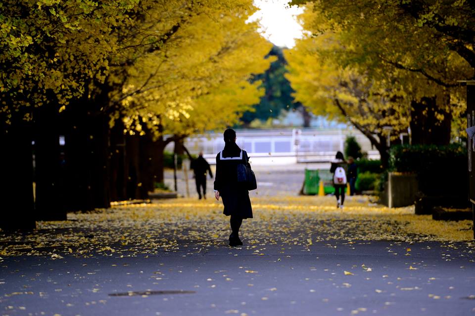 o1noeo476vr9E5BKZ2f-o