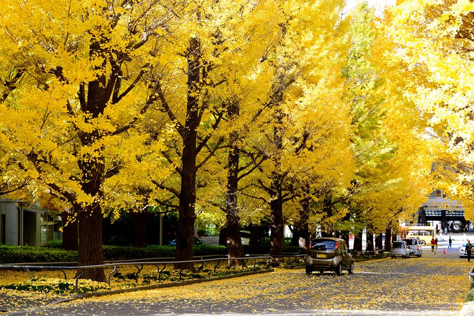 o1noihgdtkf10I2gQ3d-o