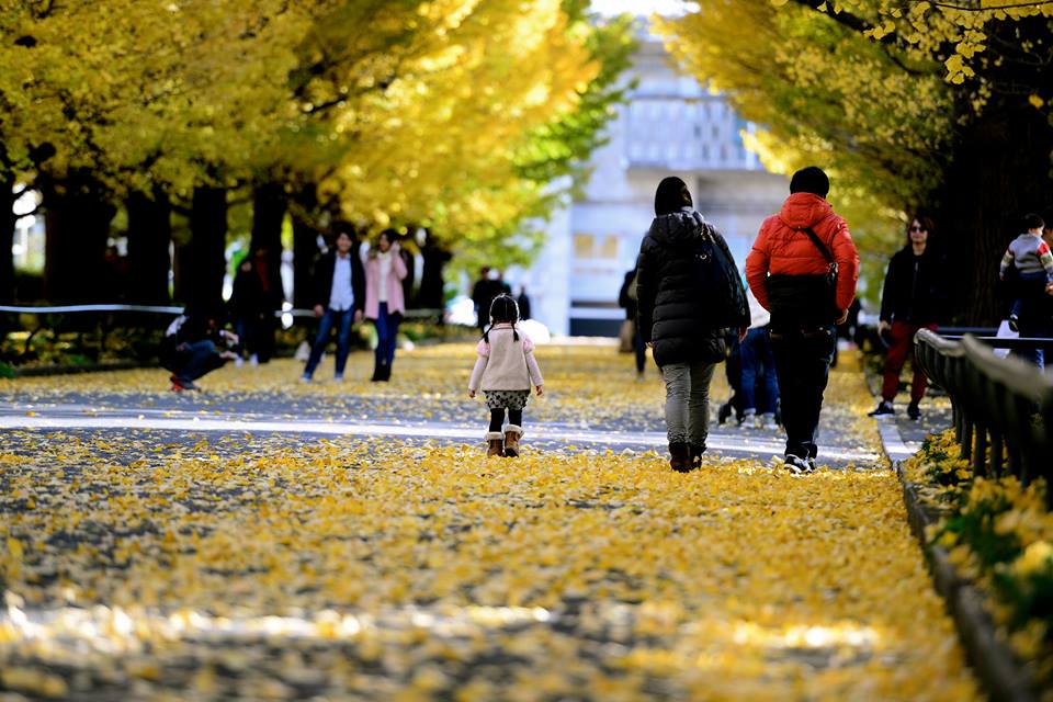 o1nokn1hx34606gw70g-o