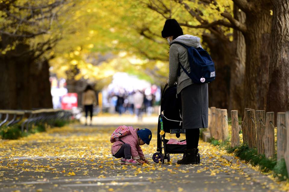 o1nomp4ugD5ogb4r5B6-o