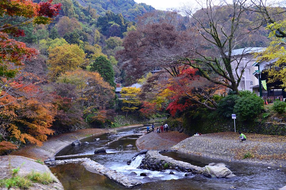 ohwdr2lk9M1AclEsrYH-o