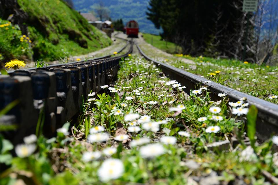 1431282253-1030672299-o