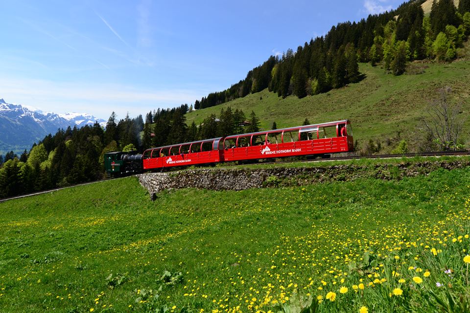 1431282426-1111279799-o