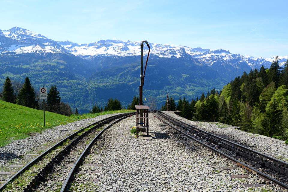 1431282472-1120549299-o