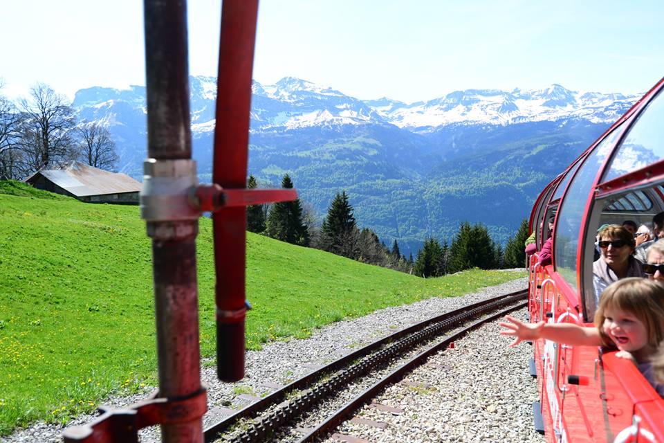 1431282550-1121845299-o