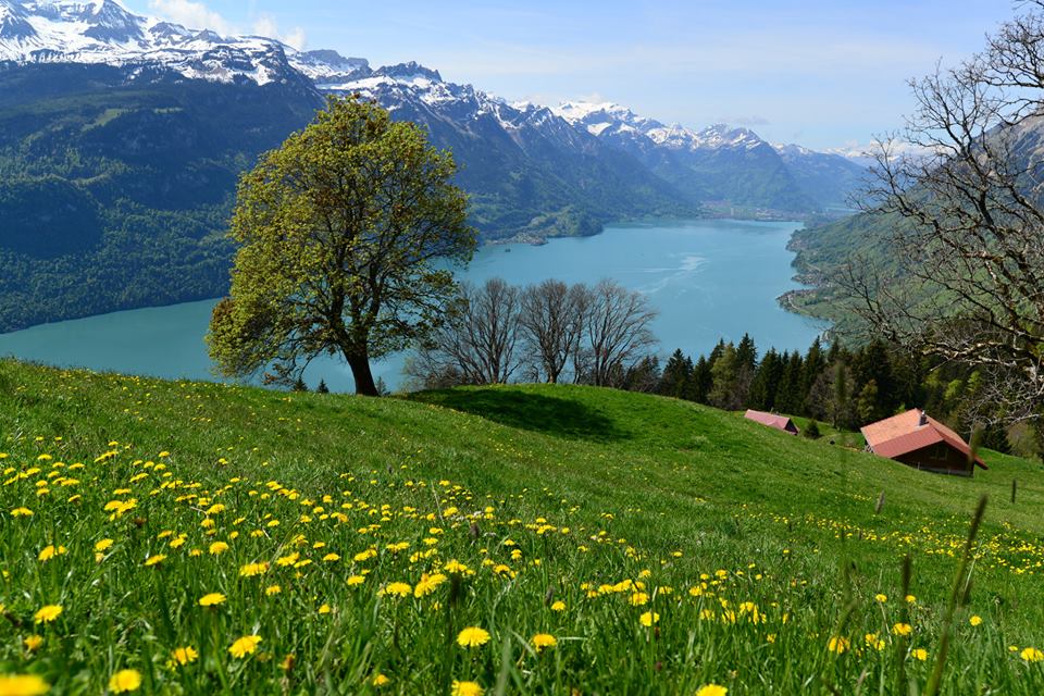 1431282608-1104623099-o