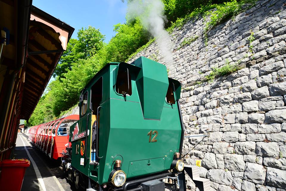 1431283599-1120554799-o