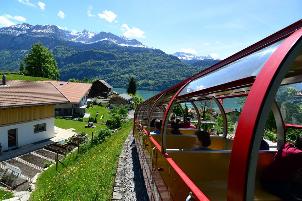 1431283955-1121044199-o