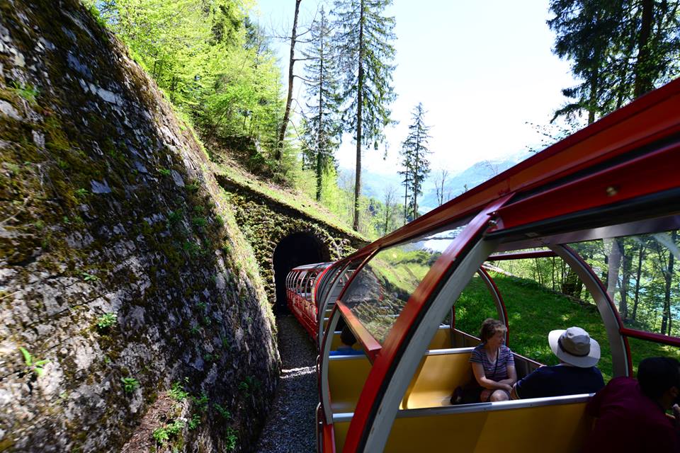 1431284258-1030069099-o