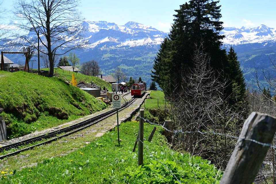 1431284654-1126399199-o