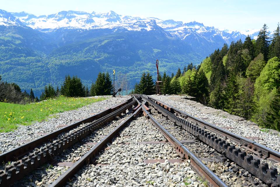 1431284688-1126223699-o