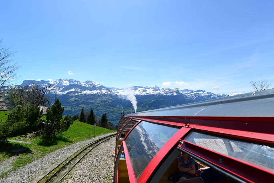 1431284806-1125932899-o