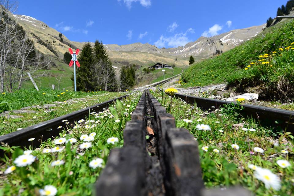 1431284872-1121852999-o