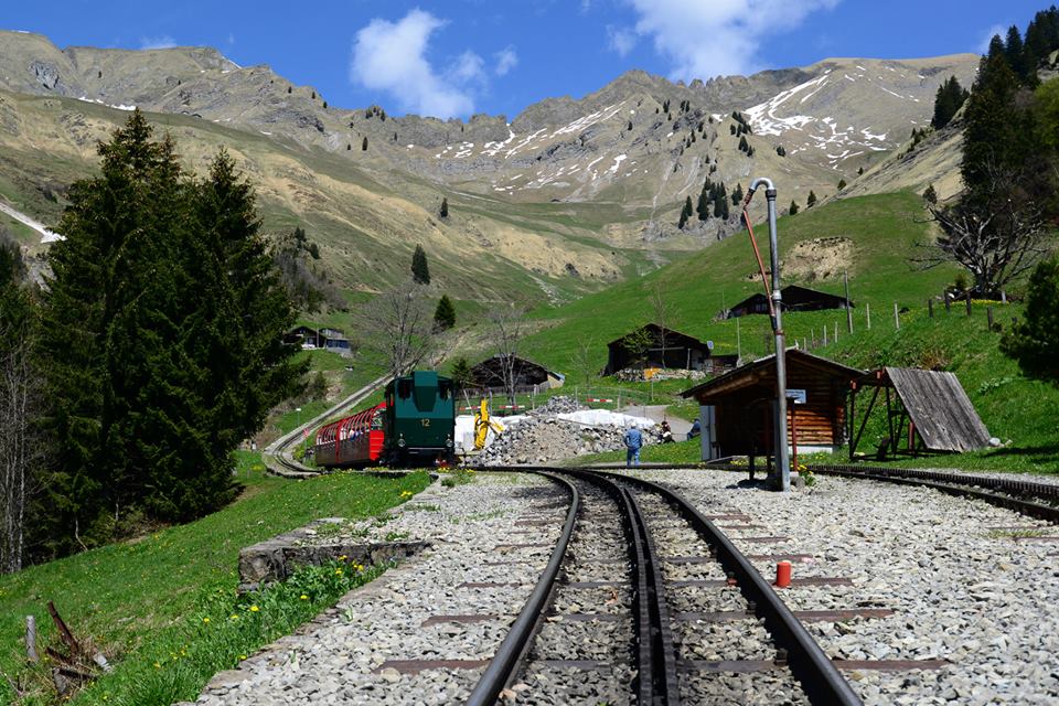 1431284967-1120599799-o