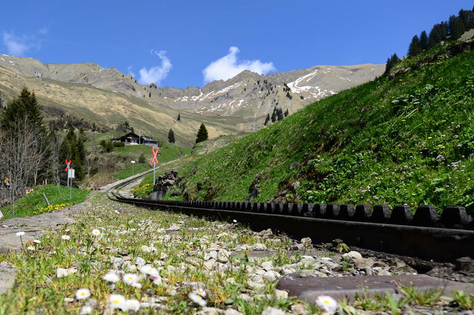 1431285164-1113865999-o