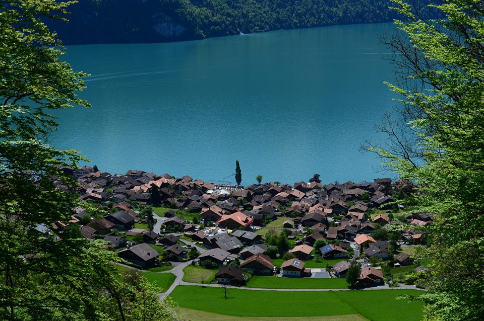 1431285318-1040856899-o