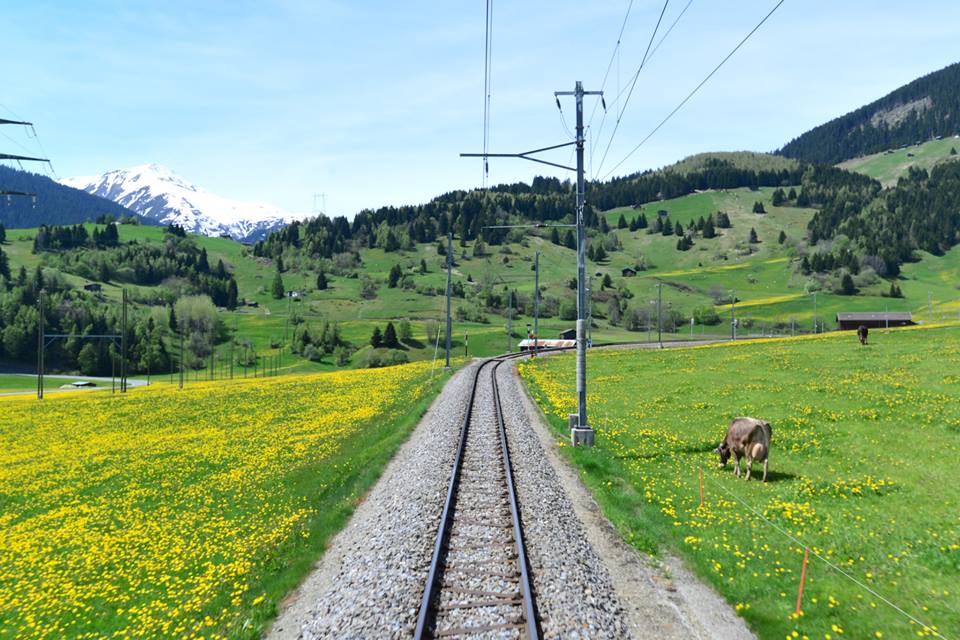 1431484525-1098182699-o