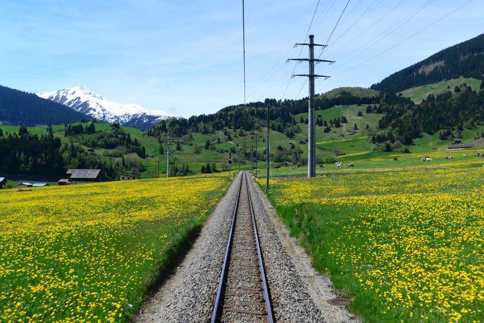 1431484631-1039098699-o