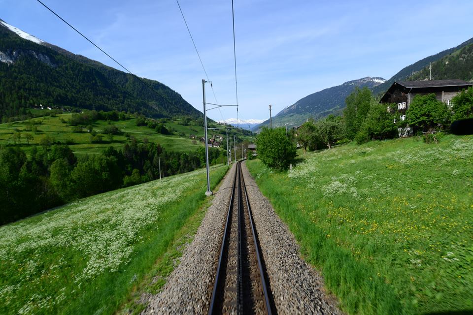 1431484758-1126826599-o