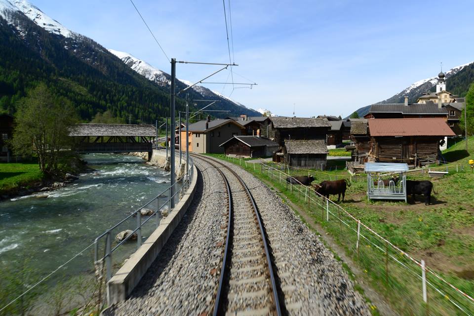 1431484951-1101256999-o