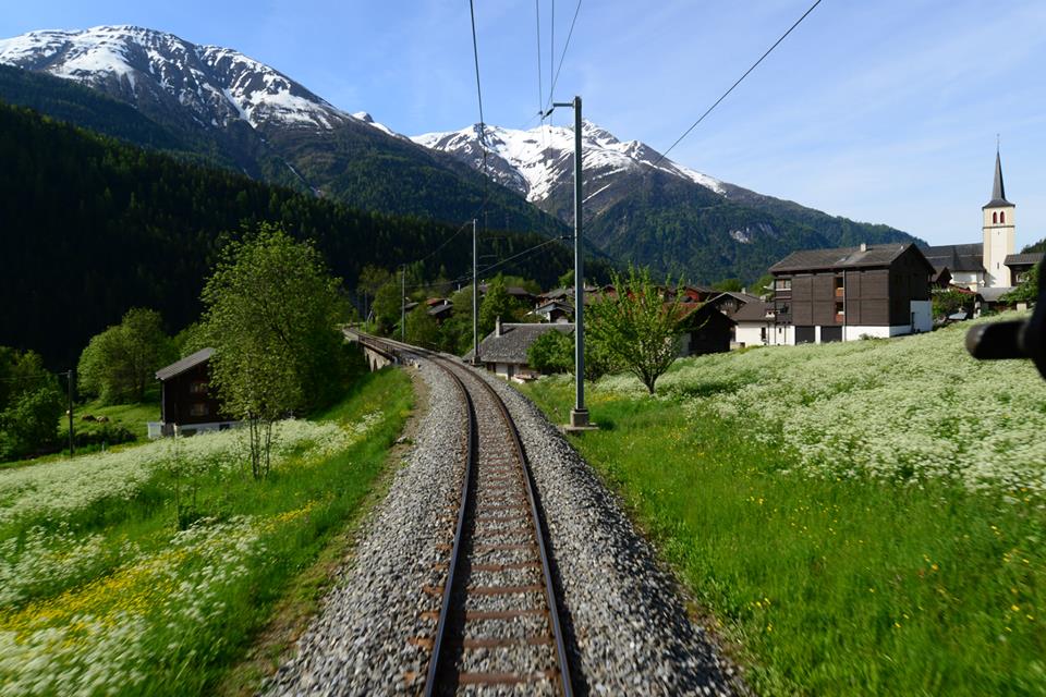 1431485264-1124580099-o