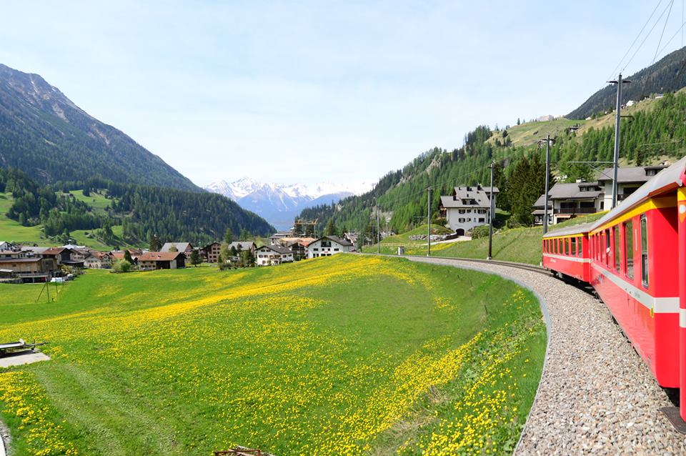 1431485519-1122385899-o