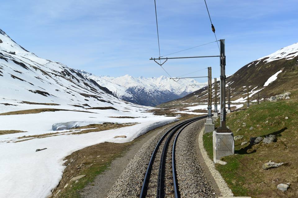 1431485681-1120944499-o