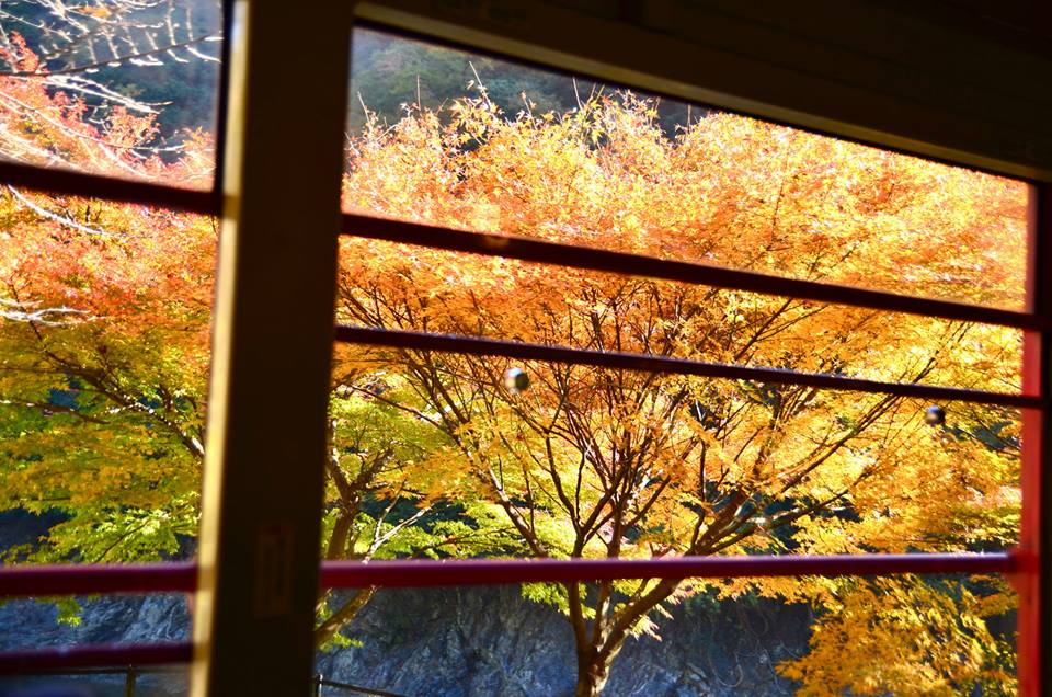 1433142504-1116987014-o