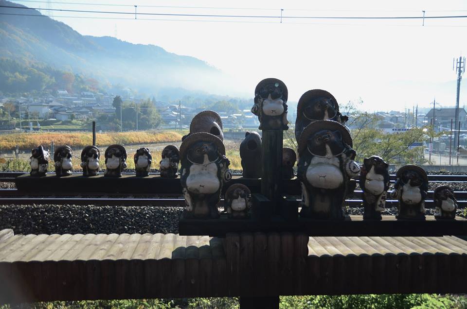 1433143177-1139034214-o