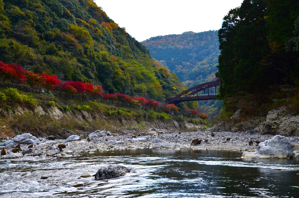 1433144451-1040190414-o