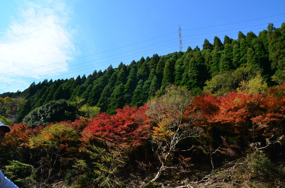 1433144500-1114665514-o