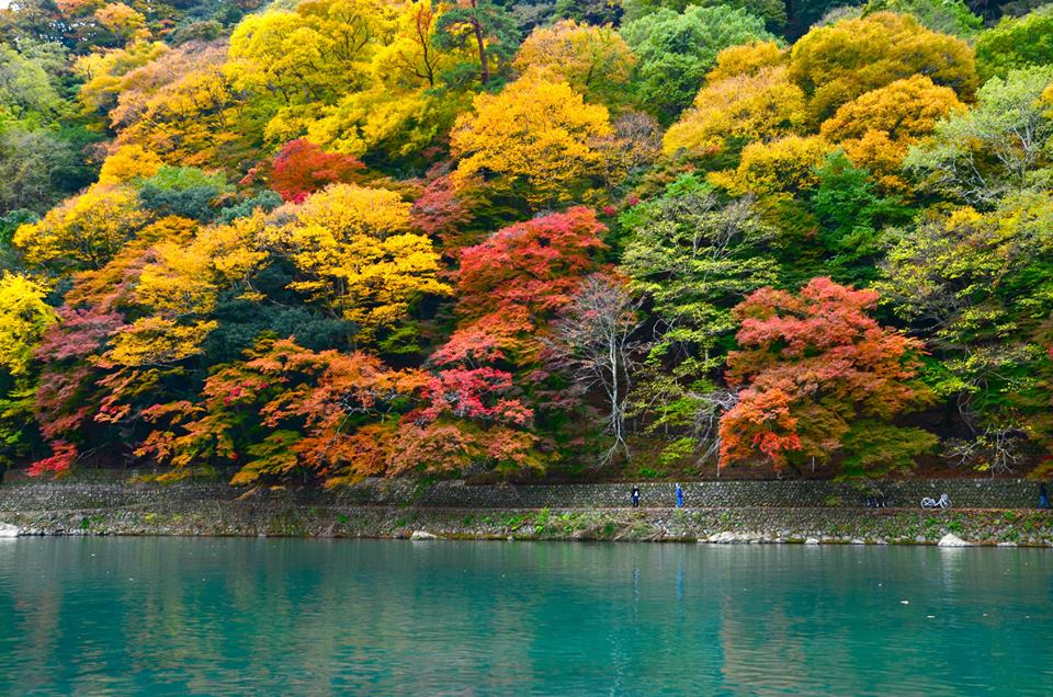 1433144793-1132987514-o