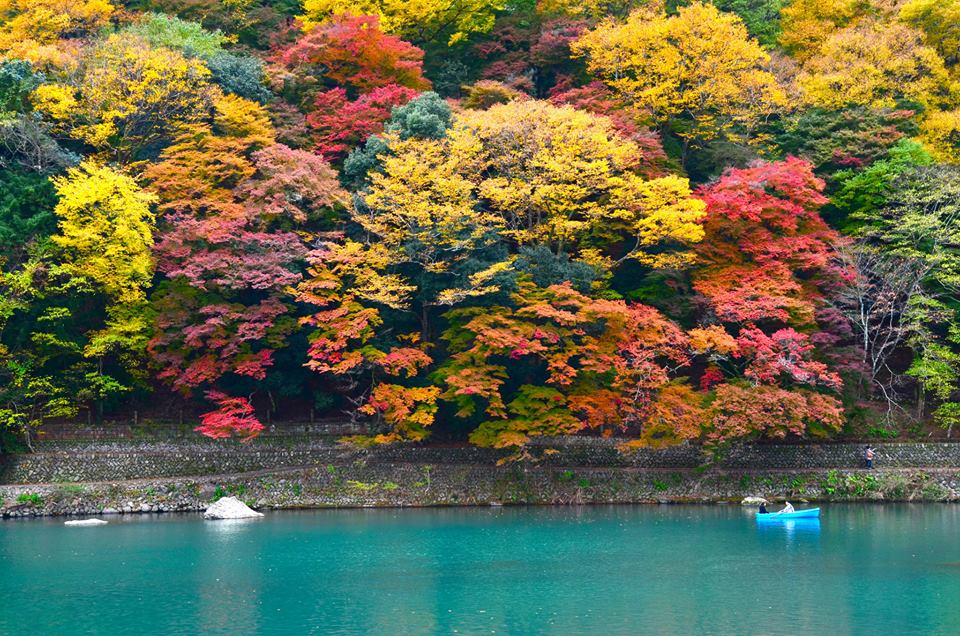 1433144848-1105240714-o