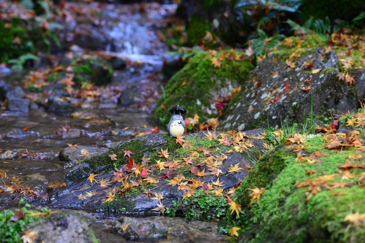 15936940_1722924564703201_41837669405548718_o