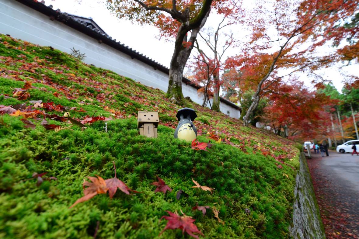 15936949_1722924178036573_1741584183056749758_o