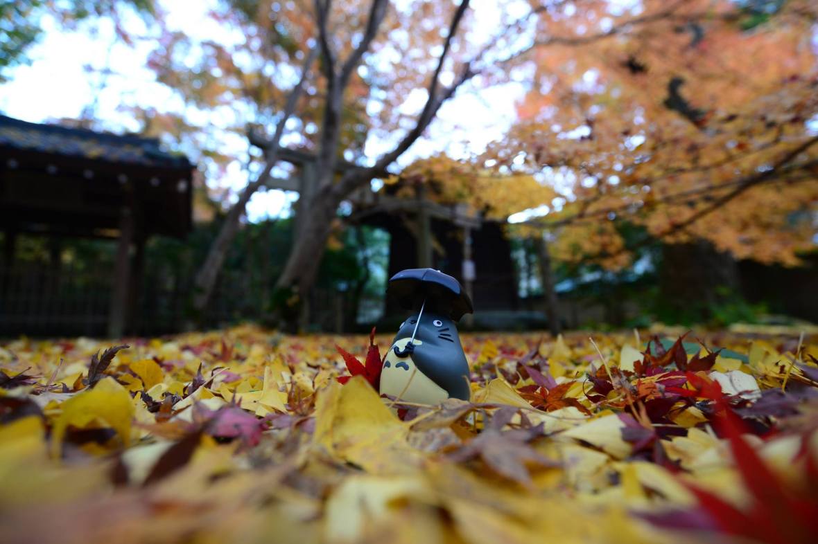 15936982_1722924784703179_4276427787781624193_o