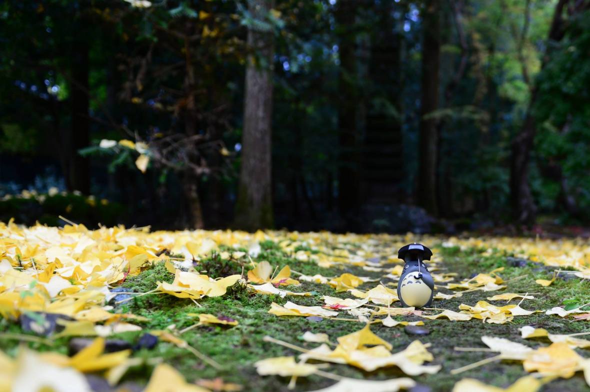 15937188_1722926308036360_5633086980611213227_o