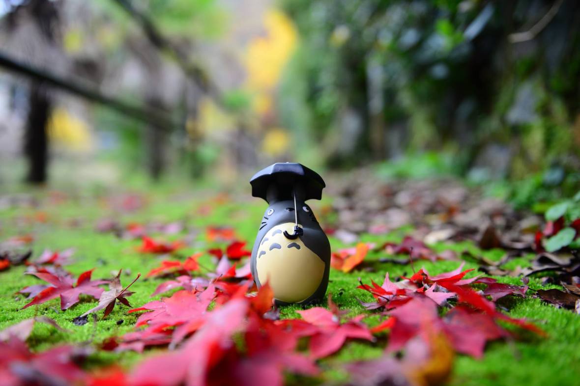 15937221_1722924668036524_6902209961094508068_o