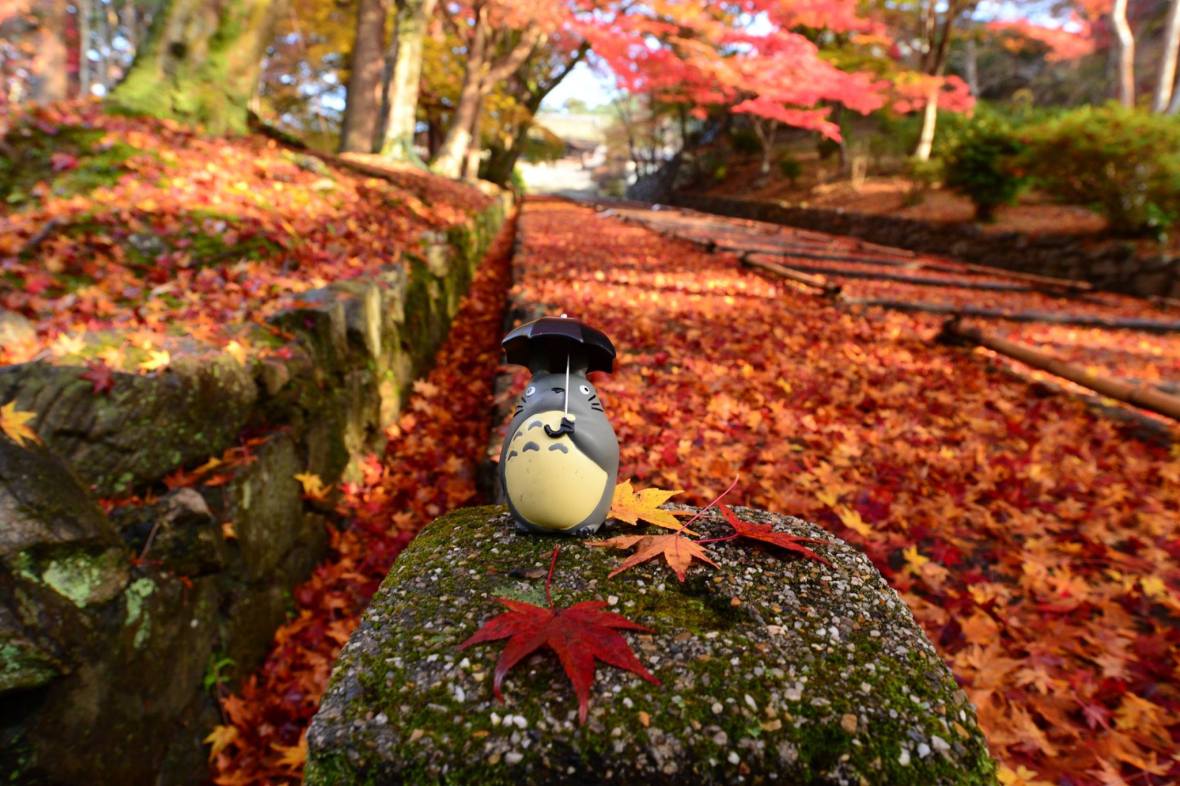 15937236_1722924248036566_4002013370547675332_o