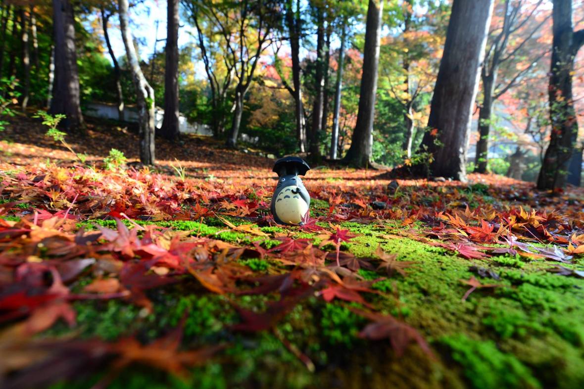 15972541_1722924324703225_3760345920439414896_o