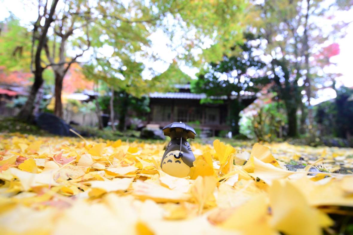 15975135_1722924908036500_5032446444201866905_o