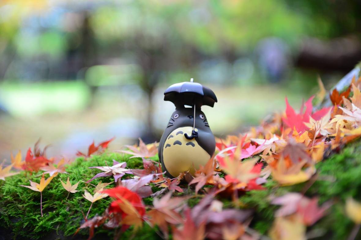 15994607_1722926321369692_8744175267460668482_o