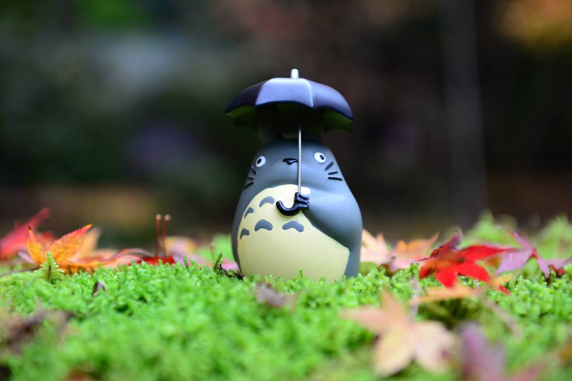 16107331_1722924691369855_1750482240749410025_o