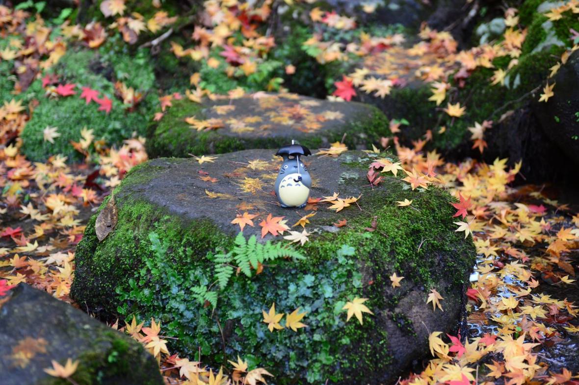 16107439_1722924968036494_2114608897685402367_o