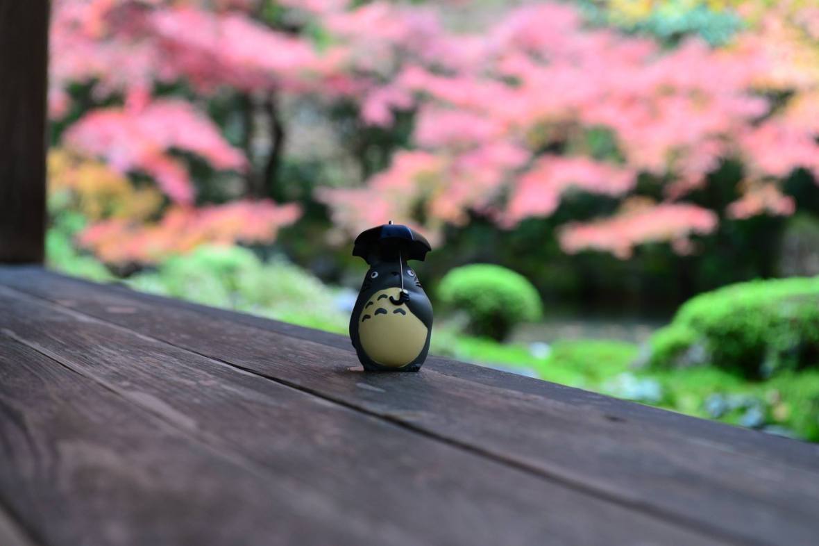 16107514_1722924764703181_6546041168963115501_o