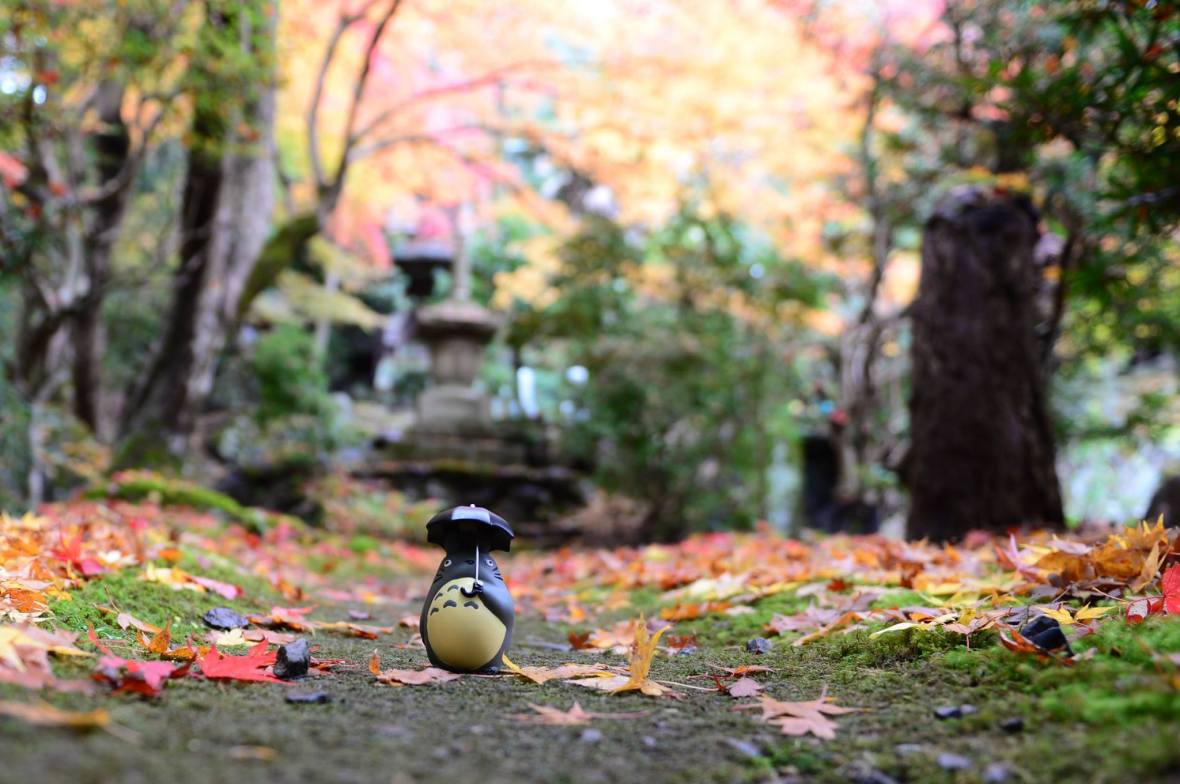 16112898_1722926378036353_987571593357073420_o