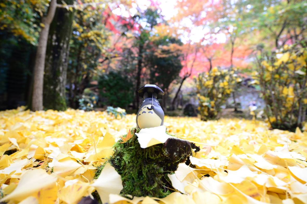 16112923_1722924928036498_5440715191433941469_o