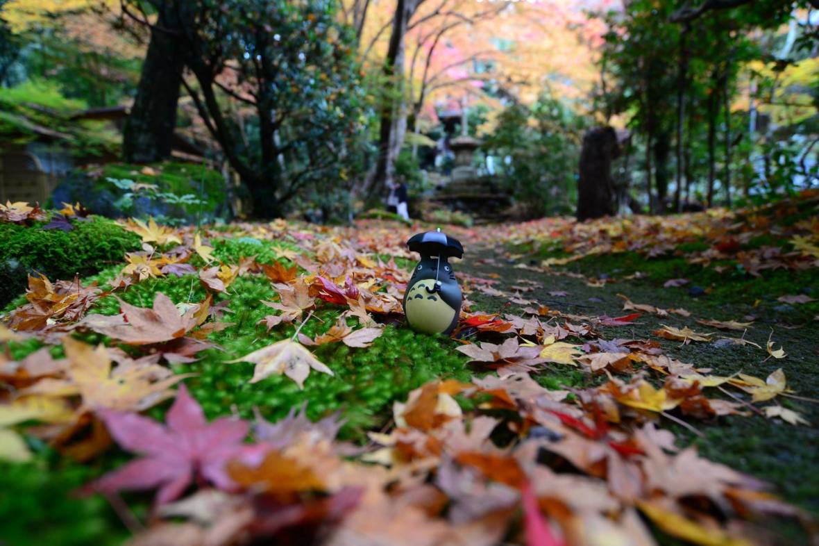 16112932_1722924831369841_6083088917663410835_o