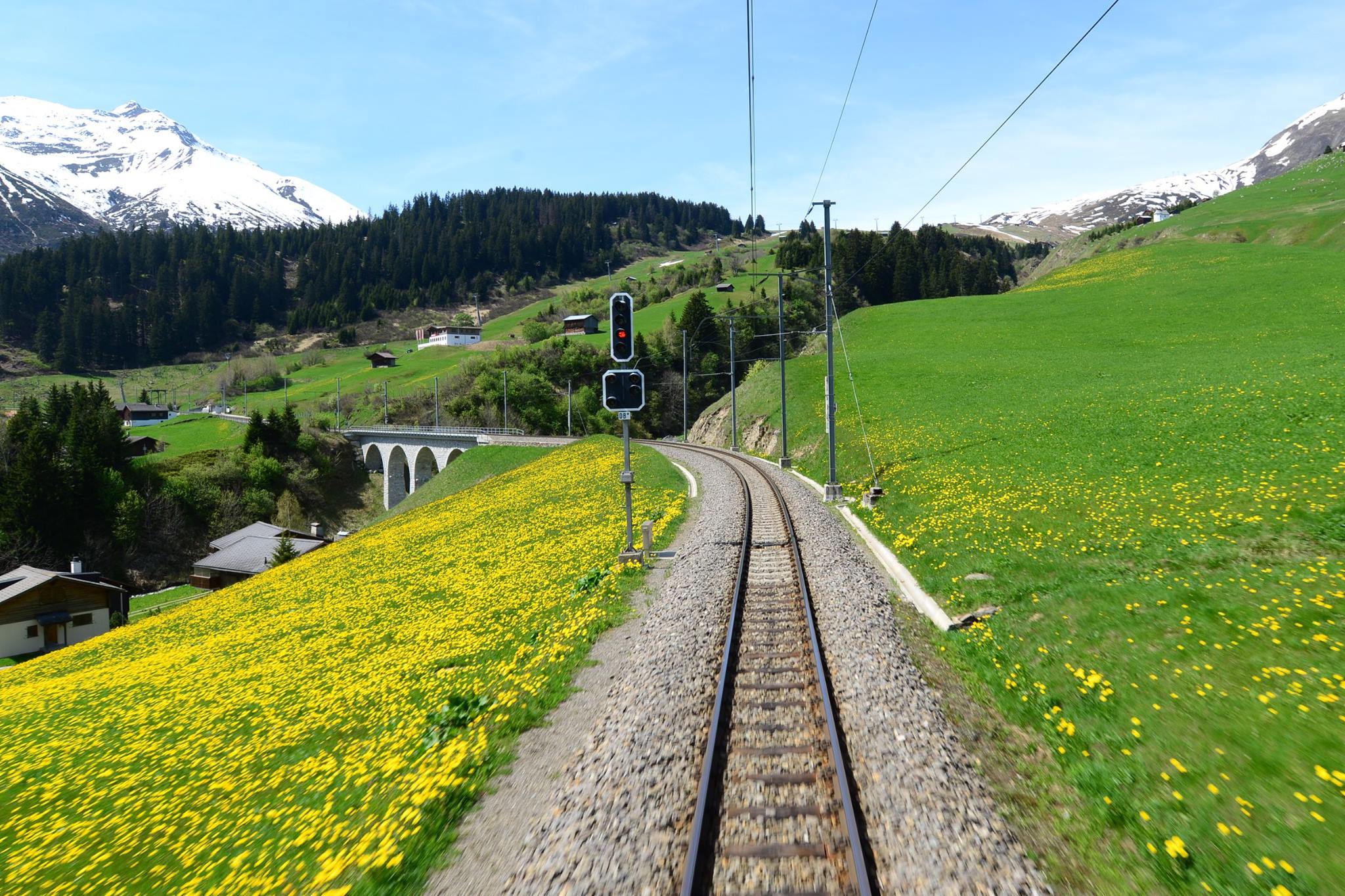 16252235_1730739440588380_9115744711389433023_o