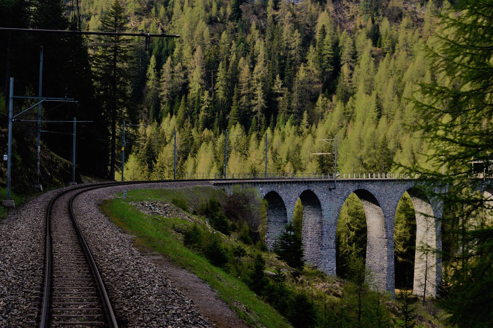 16300085_1730739487255042_6284749628970735629_o